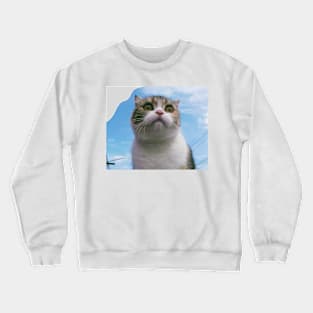 The chubby cute cats Crewneck Sweatshirt